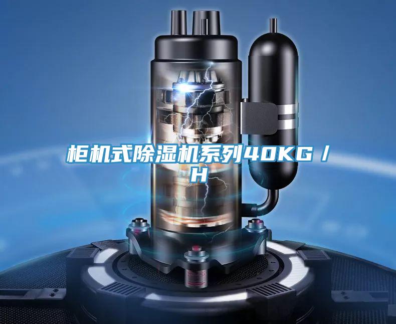 柜機式除濕機系列40KG/H