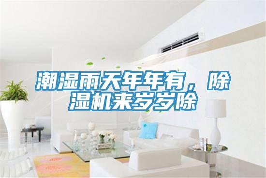 潮濕雨天年年有，除濕機來歲歲除