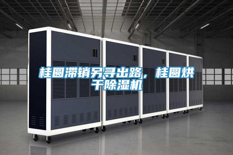 桂圓滯銷另尋出路，桂圓烘干除濕機