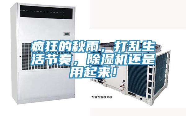 瘋狂的秋雨，打亂生活節奏，除濕機還是用起來！
