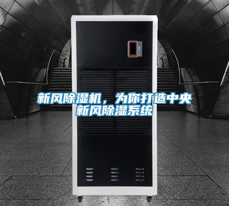 新風除濕機，為你打造中央新風除濕系統