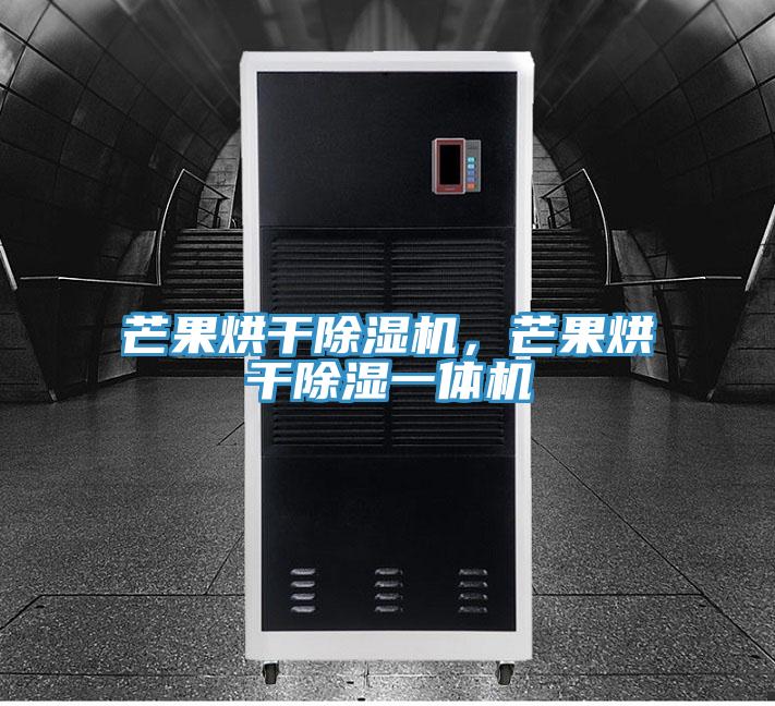 芒果烘干除濕機，芒果烘干除濕一體機