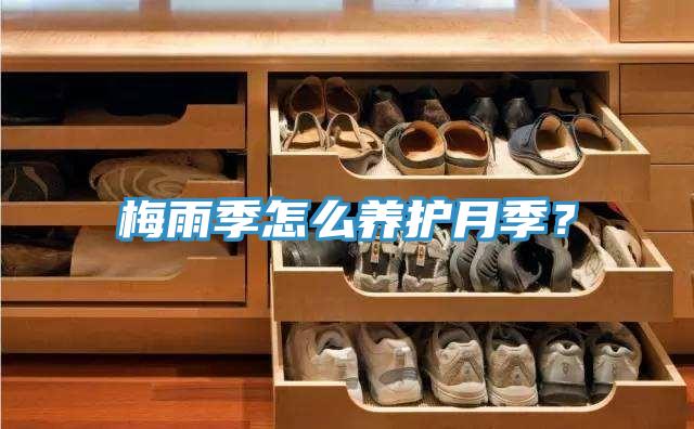 梅雨季怎么養(yǎng)護(hù)月季?