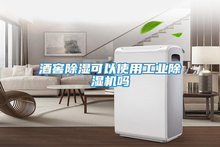 酒窖除濕可以使用工業除濕機嗎
