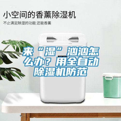 來“濕”洶洶怎么辦?用全自動除濕機防范