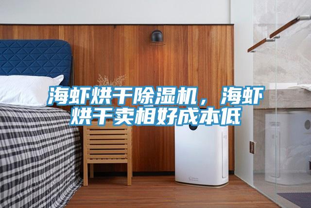 海蝦烘干除濕機,海蝦烘干賣相好成本低