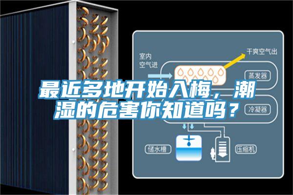 最近多地開始入梅，潮濕的危害你知道嗎？