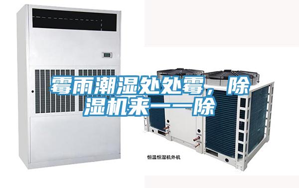 霉雨潮濕處處霉，除濕機來一一除