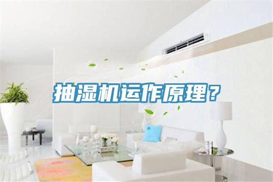 抽濕機運作原理?