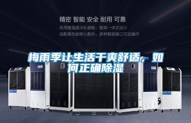 梅雨季讓生活干爽舒適,如何正確除濕
