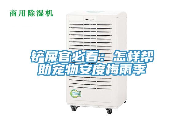 鏟屎官必看:怎樣幫助寵物安度梅雨季