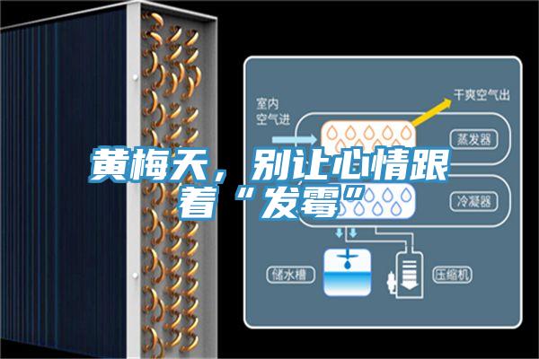 黃梅天，別讓心情跟著“發霉”