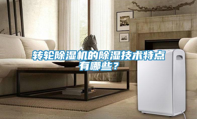 轉(zhuǎn)輪除濕機(jī)的除濕技術(shù)特點(diǎn)有哪些？