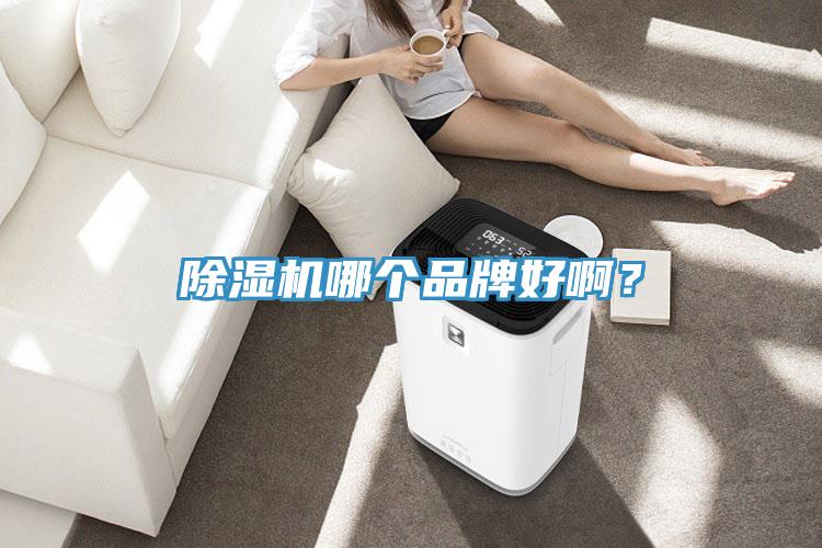 除濕機哪個品牌好啊？