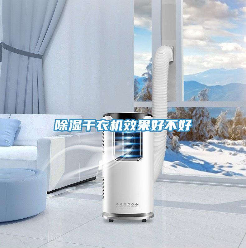 除濕干衣機(jī)效果好不好