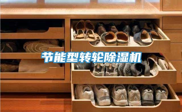 節能型轉輪除濕機