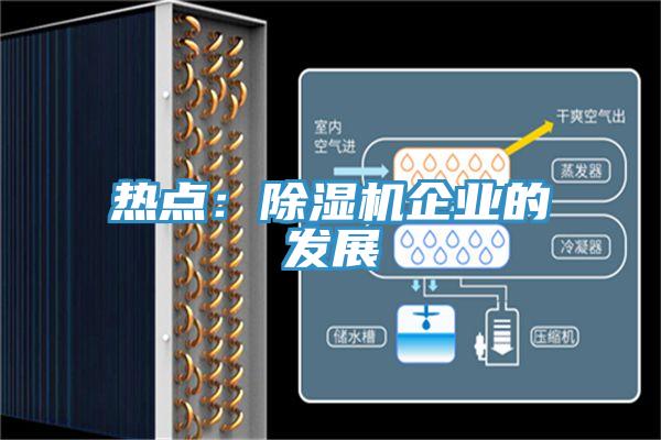 熱點:除濕機企業的發展