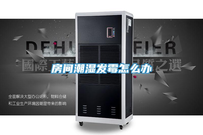 房間潮濕發霉怎么辦