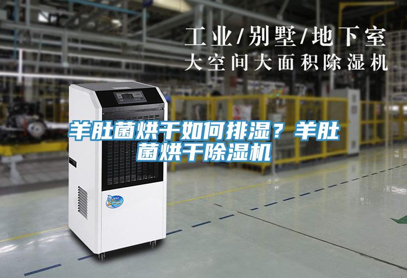 羊肚菌烘干如何排濕?羊肚菌烘干除濕機