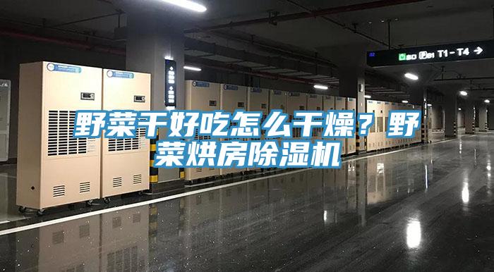 野菜干好吃怎么干燥?野菜烘房除濕機