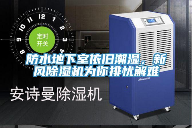 防水地下室依舊潮濕，新風除濕機為你排憂解難