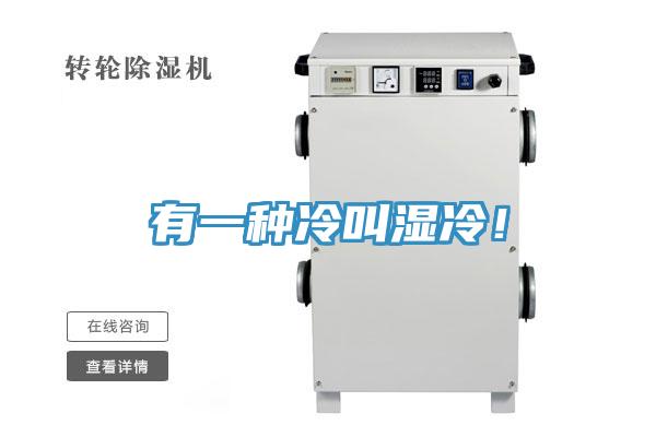 有一種冷叫濕冷!