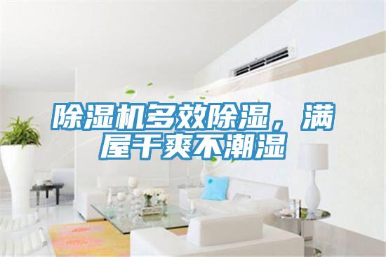 除濕機多效除濕，滿屋干爽不潮濕
