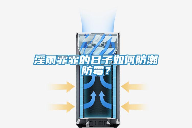 淫雨霏霏的日子如何防潮防霉?