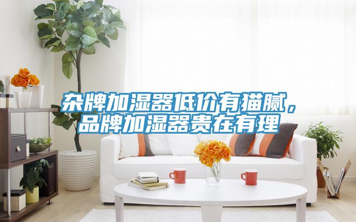 雜牌加濕器低價有貓膩,品牌加濕器貴在有理