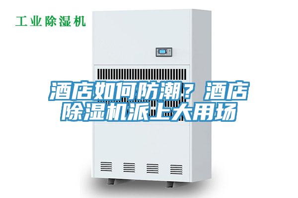 酒店如何防潮?酒店除濕機派上大用場