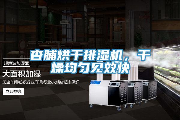 杏脯烘干排濕機,干燥均勻見效快