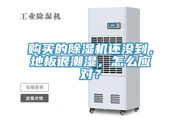 購買的除濕機還沒到，地板很潮濕，怎么應對？