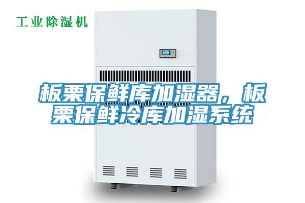 板栗保鮮庫加濕器,板栗保鮮冷庫加濕系統