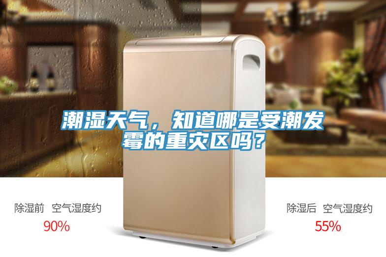 潮濕天氣,知道哪是受潮發霉的重災區嗎?