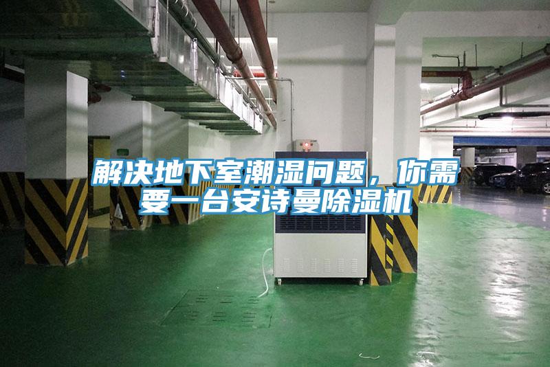 解決地下室潮濕問題，你需要一臺安詩曼除濕機