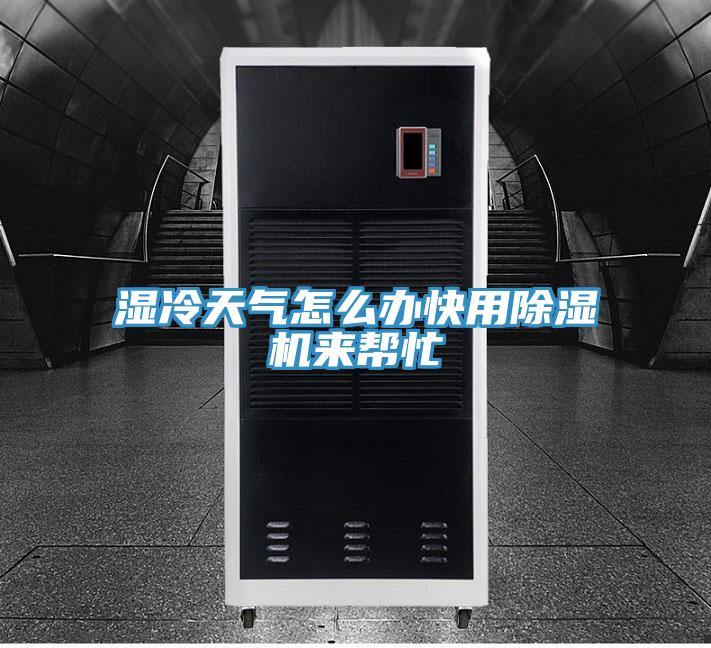 濕冷天氣怎么辦快用除濕機來幫忙