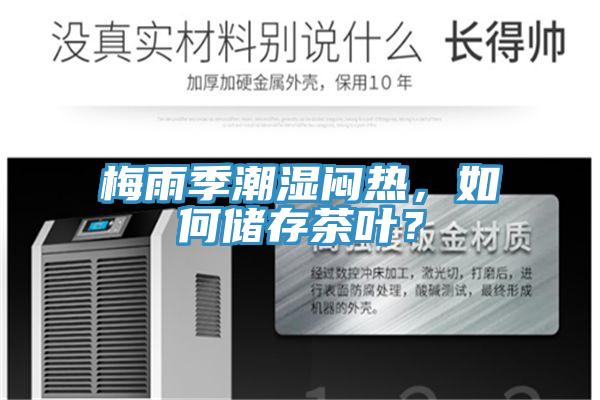 梅雨季潮濕悶熱,如何儲存茶葉?