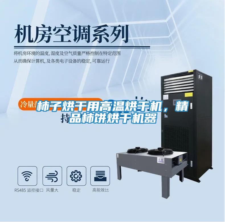 柿子烘干用高溫烘干機,精品柿餅烘干機器