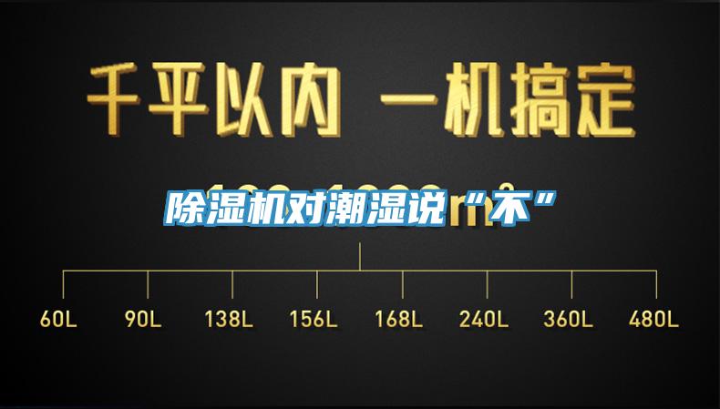 除濕機對潮濕說“不”