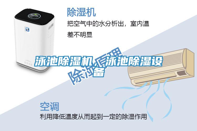 泳池除濕機，泳池除濕設備