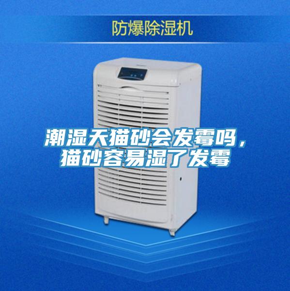 潮濕天貓砂會發霉嗎,貓砂容易濕了發霉