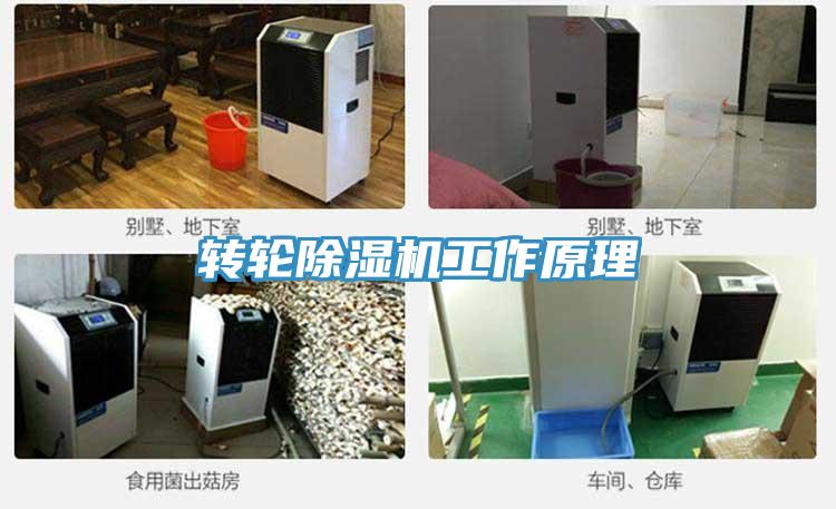 轉(zhuǎn)輪除濕機(jī)工作原理