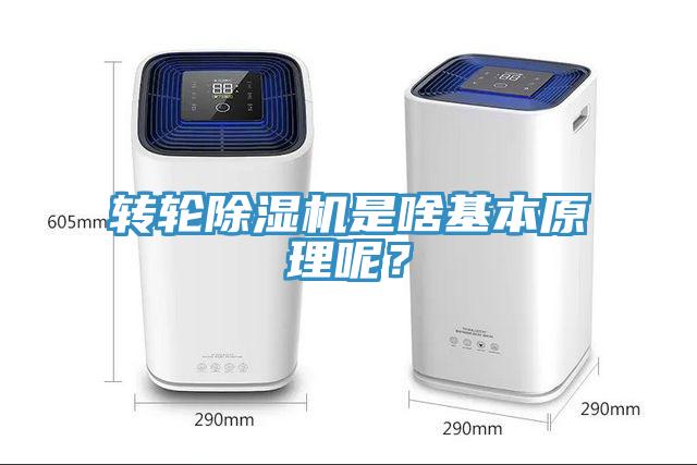 轉輪除濕機是啥基本原理呢？