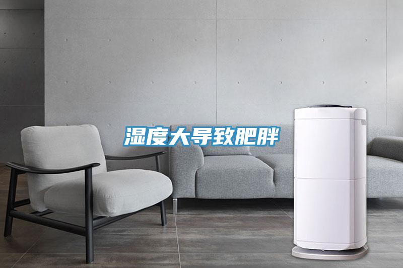 濕度大導致肥胖