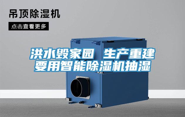 洪水毀家園 生產重建要用智能除濕機抽濕