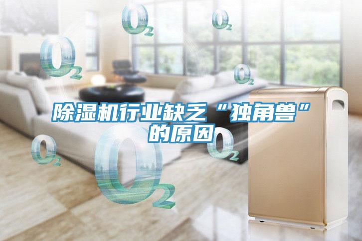 除濕機行業缺乏“獨角獸”的原因