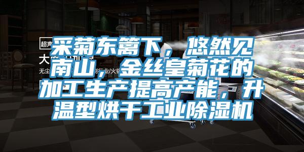 采菊東籬下，悠然見(jiàn)南山，金絲皇菊花的加工生產(chǎn)提高產(chǎn)能，升溫型烘干工業(yè)除濕機(jī)