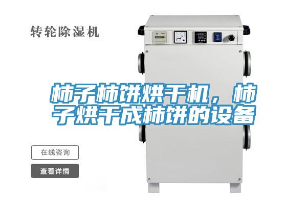 柿子柿餅烘干機,柿子烘干成柿餅的設備