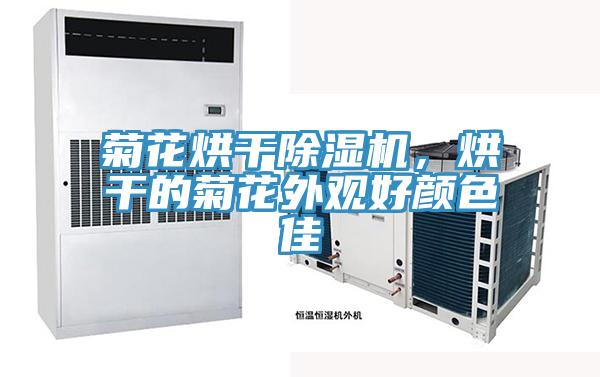 菊花烘干除濕機，烘干的菊花外觀好顏色佳