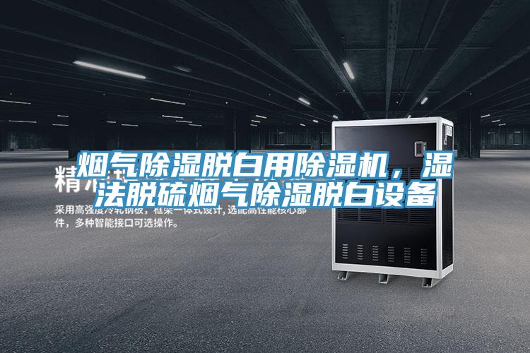 煙氣除濕脫白用除濕機，濕法脫硫煙氣除濕脫白設備